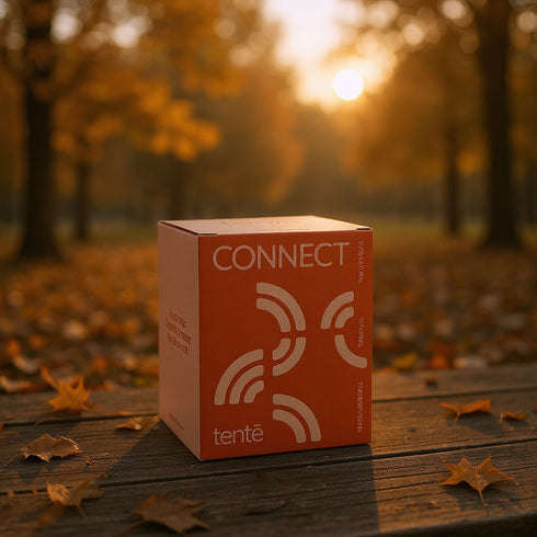 Ritual de Otoño – Connect